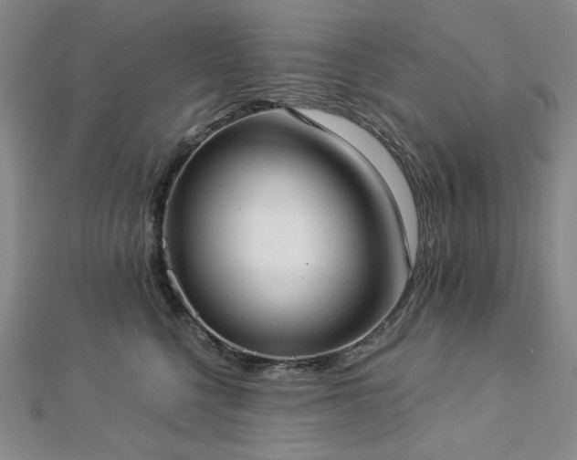 X0000112820568200908211208