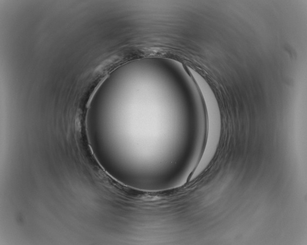 X0000112820570200908211208
