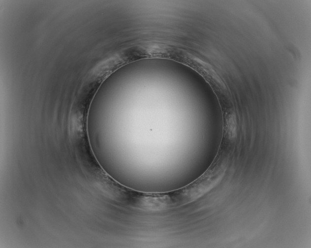 X0000112820571200908211208