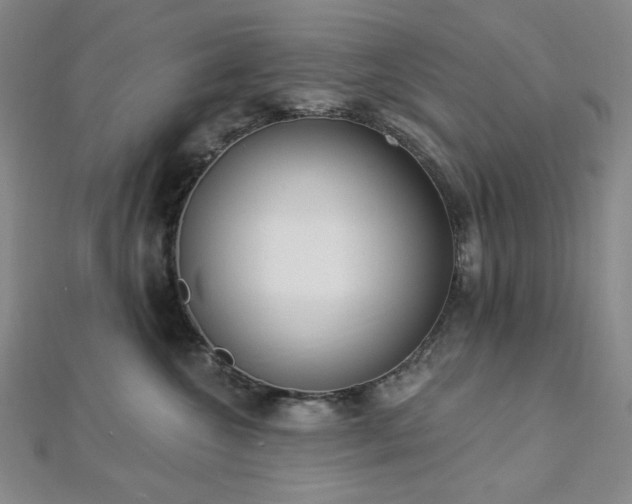 X0000112820572200908211208