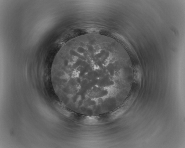 X0000112820573200908211208