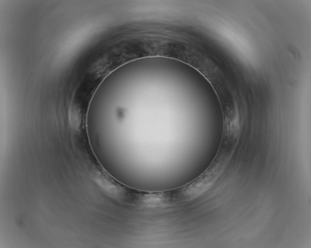 X0000112820574200908211208