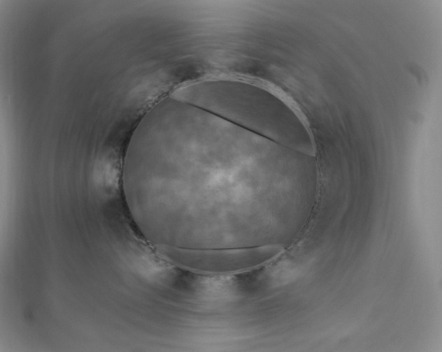 X0000112820576200908211208
