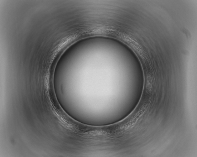 X0000112820578200908211208