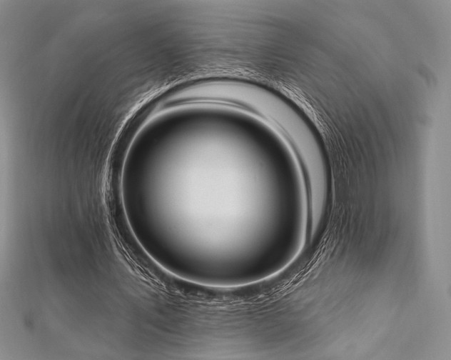 X0000112820579200908211208