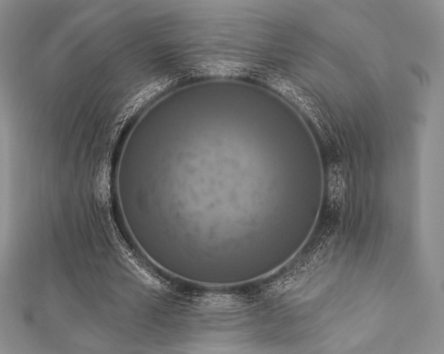 X0000112820581200908211208