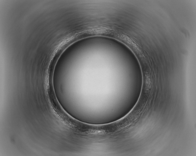 X0000112820582200908211208