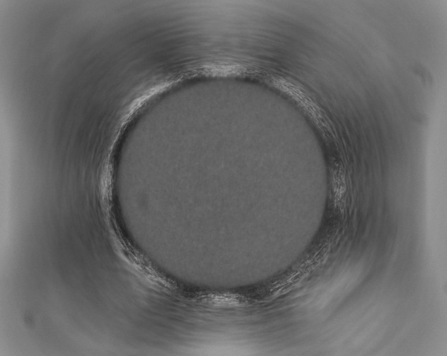 X0000112820583200908211208