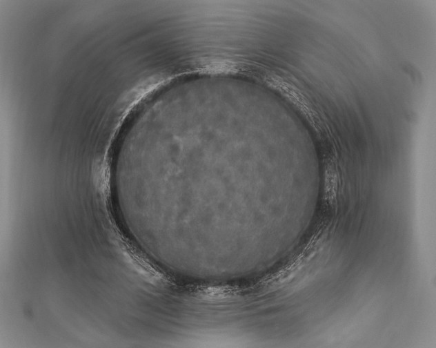 X0000112820584200908211207