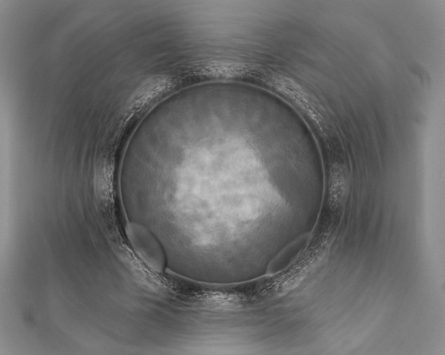 X0000112820585200908211207