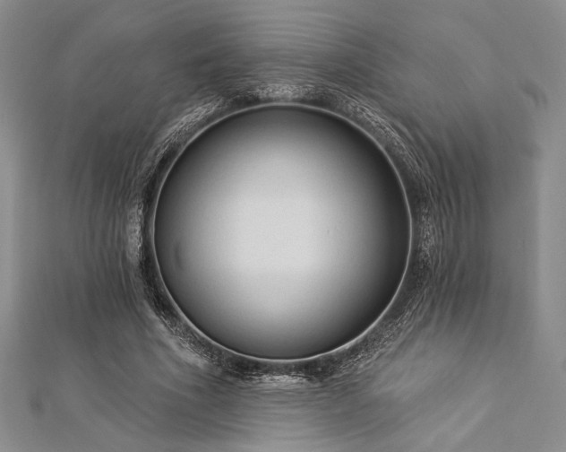X0000112820586200908211207