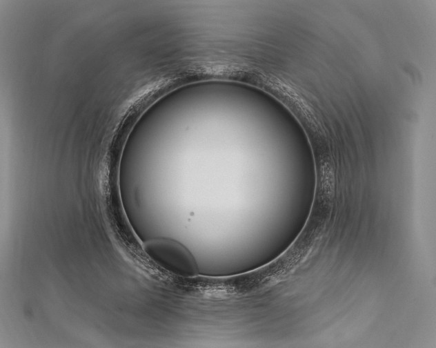 X0000112820587200908211207