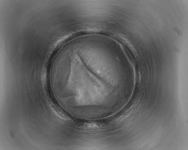 X0000112820588200908211207