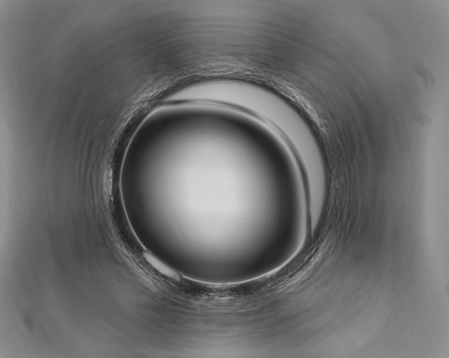 X0000112820589200908211207