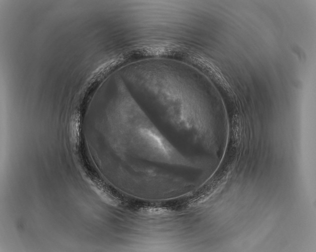 X0000112820590200908211207