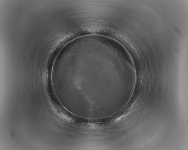 X0000112820592200908211207
