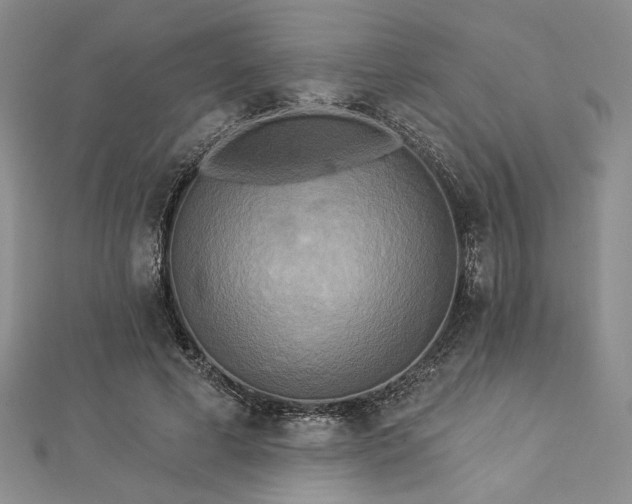 X0000112820593200908211207