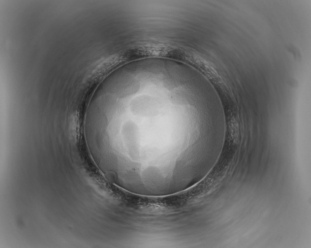 X0000112820594200908211207