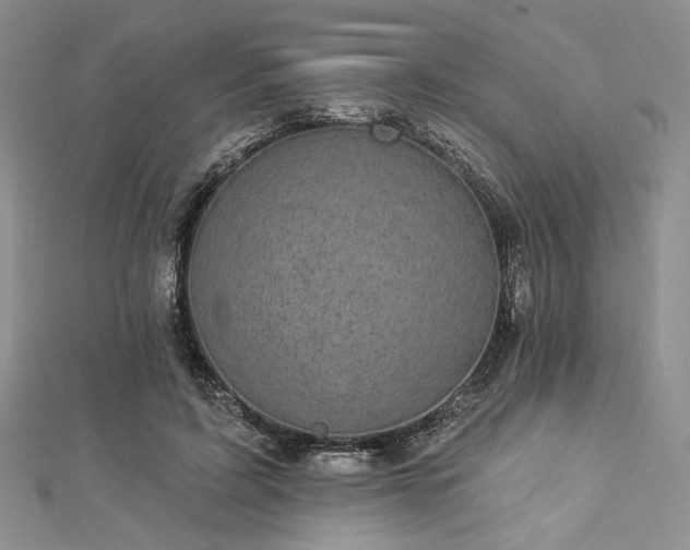 X0000112820595200908211207