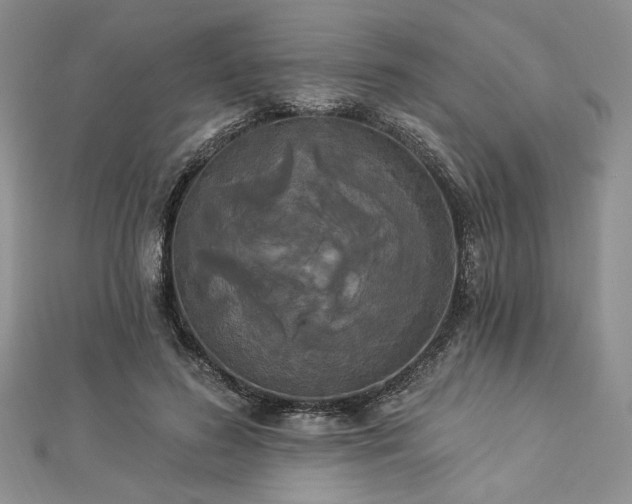 X0000112820596200908211207