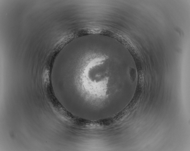 X0000112820598200908211207