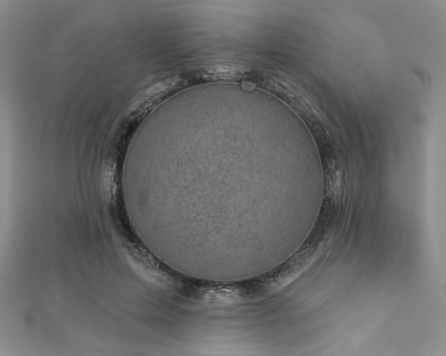 X0000112820599200908211207