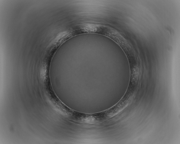 X0000112820600200908211207