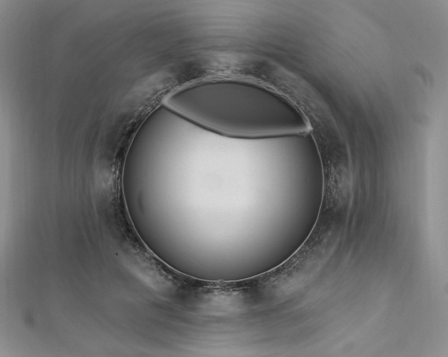 X0000112820601200908211207