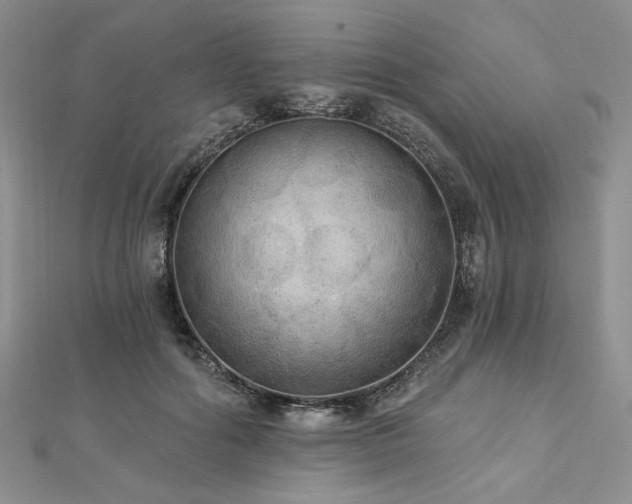 X0000112820602200908211207