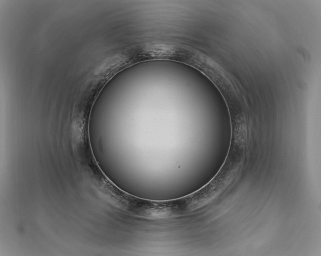 X0000112820604200908211207