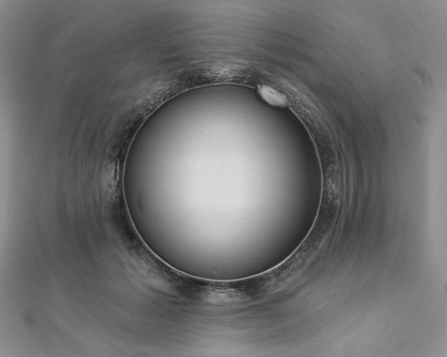 X0000112820605200908211207