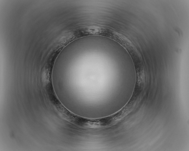 X0000112820606200908211207