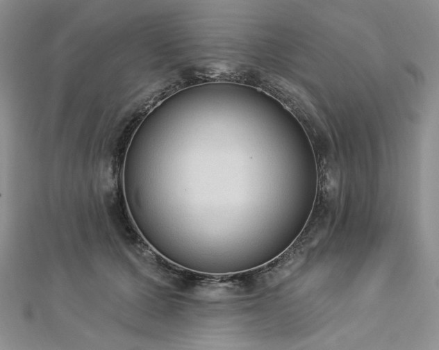 X0000112820607200908211207