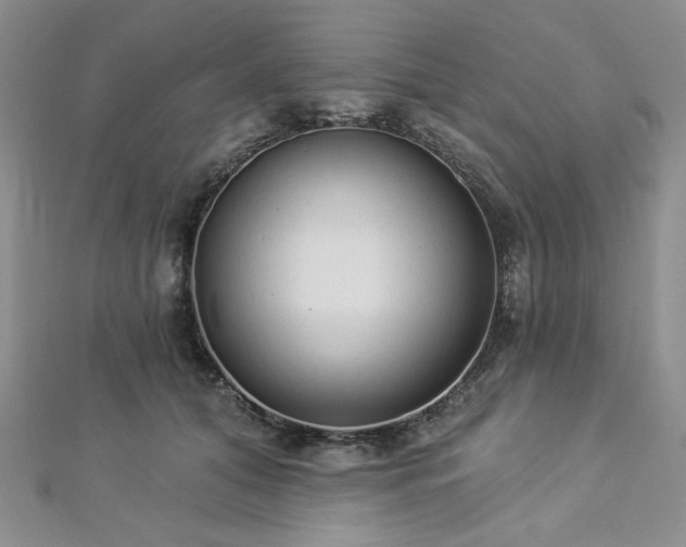 X0000112820608200908211207