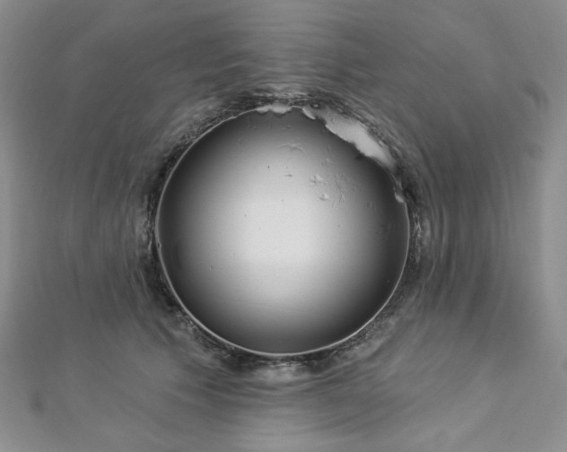 X0000112820609200908211207