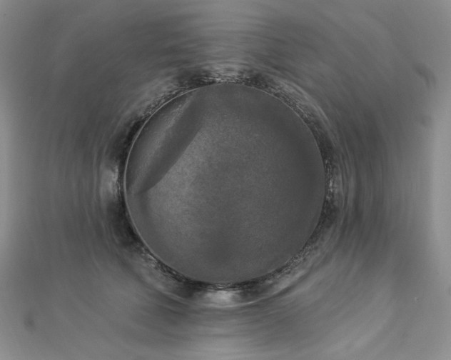 X0000112820610200908211207