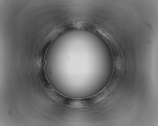 X0000112820611200908211207