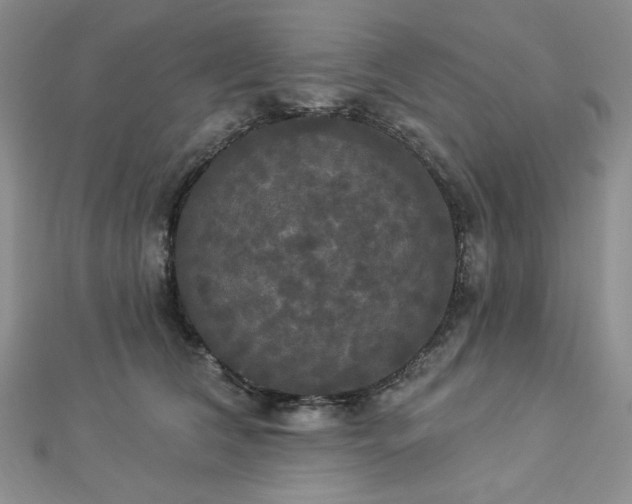 X0000112820612200908211207