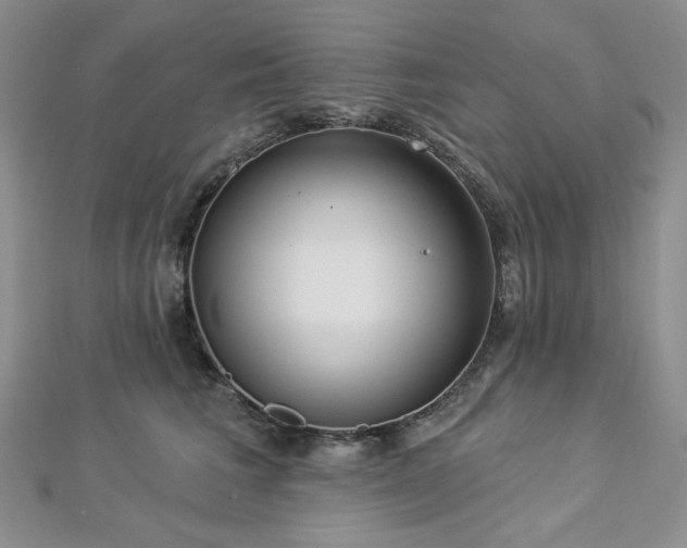X0000112820613200908211207