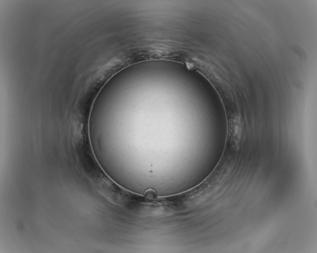 X0000112820615200908211207