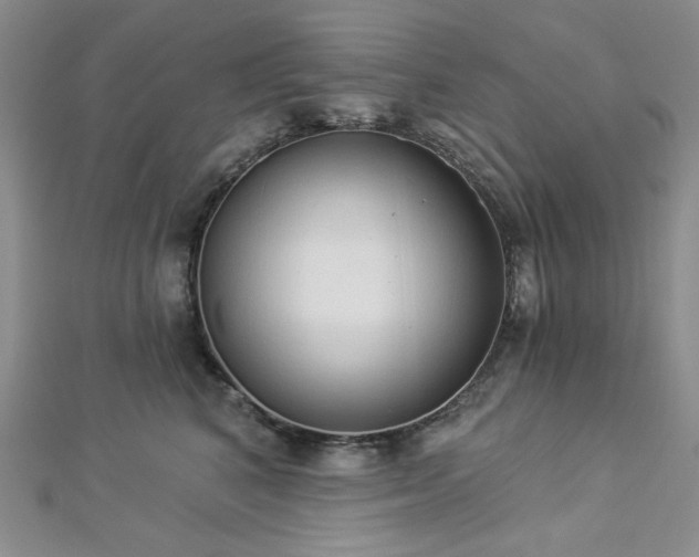 X0000112820616200908211207