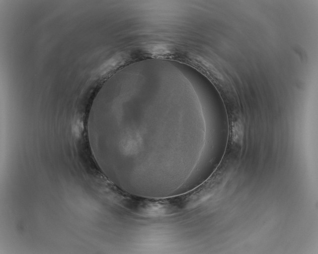 X0000112820618200908211207