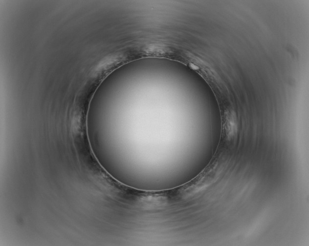 X0000112820619200908211207
