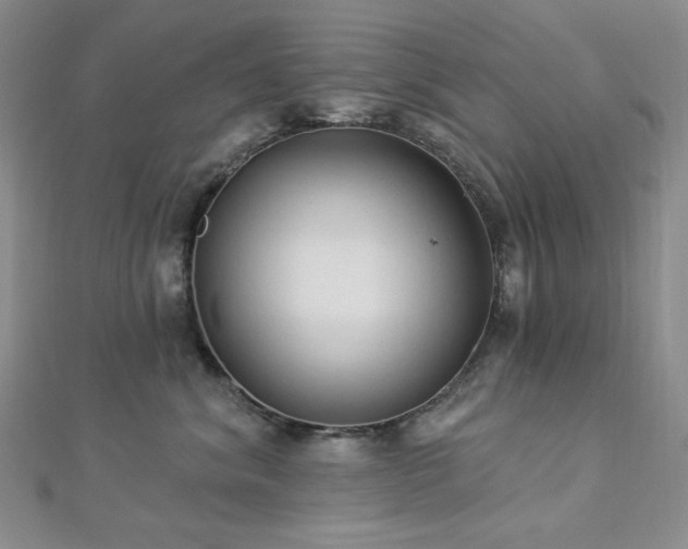 X0000112820620200908211207