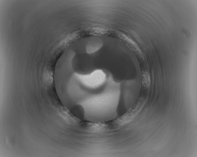 X0000112820621200908211207