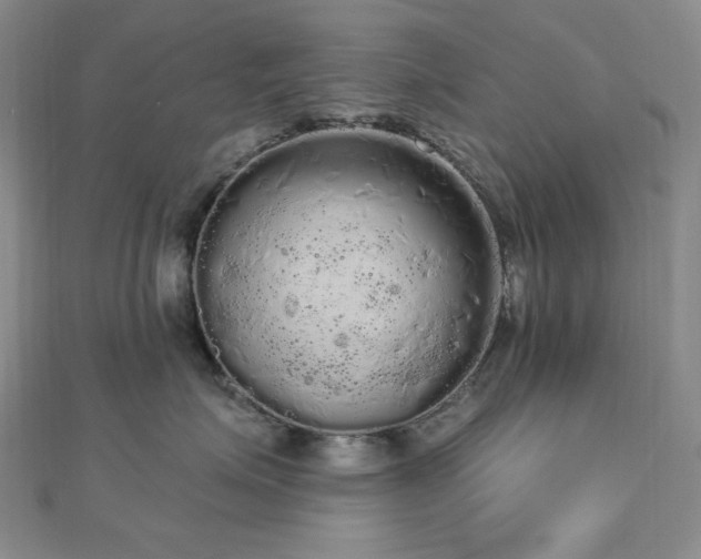 X0000112820623200908211207