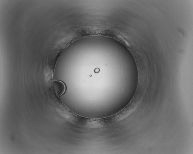 X0000112820624200908211207