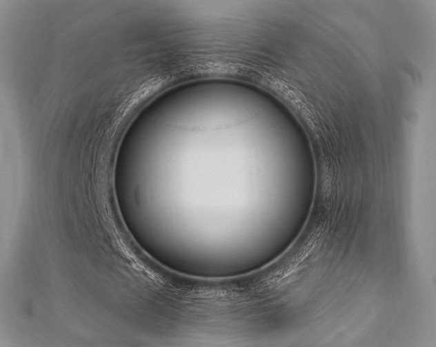 X0000112820625200908211206