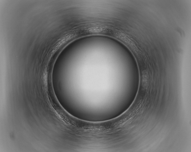 X0000112820626200908211206