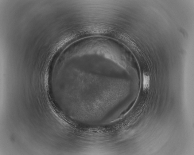 X0000112820627200908211206